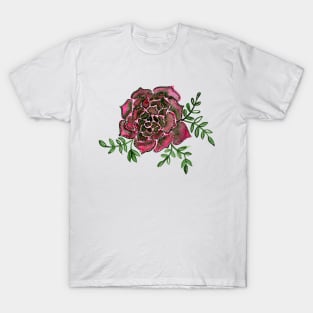 Watercolor houseleek - pink and green T-Shirt